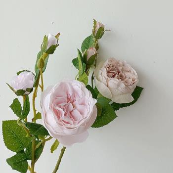 仿真多頭小奧斯汀玫瑰 手捧花設計 法式夏日花園 拍照道具 花藝