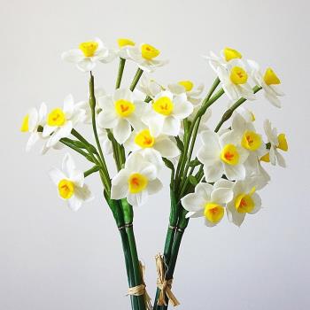 手感軟膠洋水仙花仿真花仿真植物水培假花裝飾植物客廳餐桌廚房花