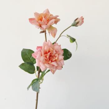 手感玫瑰仿真花奧莉薇卷邊玫瑰花月季花假花大氣樣板間專用花