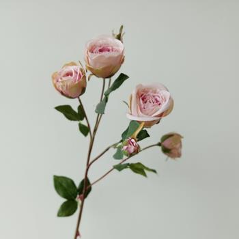 超高仿真法美式6頭復古粉色香水玫瑰 樣板間裝飾假花婚禮攝影道具