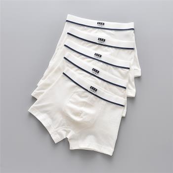 5條裝ETX中小大男童內褲加大男孩兒童寶寶白色純棉舒適透氣平角褲
