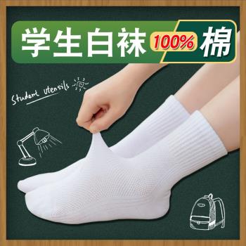 學生白色襪子純棉春夏季薄款中大童男童女童兒童網眼船襪運動短襪