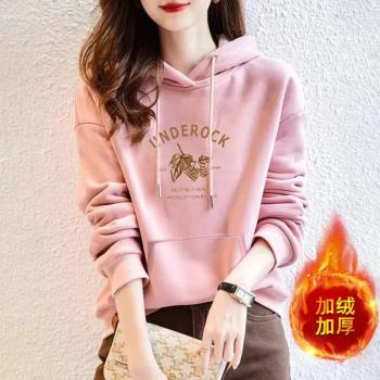 外貿專櫃純棉休閑加厚連帽衛衣