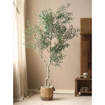 仿真橄欖樹假樹仿真樹綠植造景裝飾大型植物盆栽室內客廳落地擺件