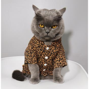 潮！寵物貓咪比熊小型小狗衣服貓咪衣服夏季薄款防掉毛 豹紋襯衣