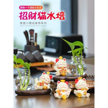 卡通新年招財貓玻璃透明花瓶擺件家居客廳裝飾品花器綠蘿花插水培