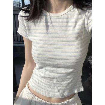 Brandy藍白條紋短袖T恤女夏季bm圓領減齡內搭純棉修身上衣ins潮