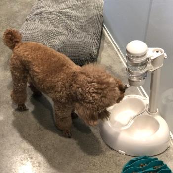 狗狗飲水器掛式水壺貓咪自動喂水機喝水器泰迪喂食器神器寵物用品