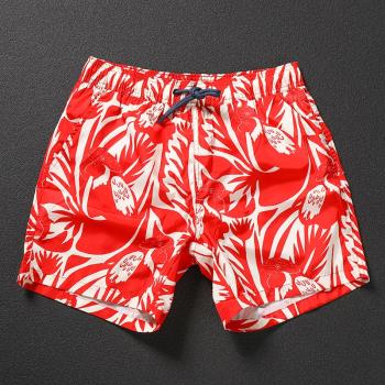 夏季短褲男個性紅色鸚鵡印花沙灘褲速幹運動休閑四分短褲男潮牌