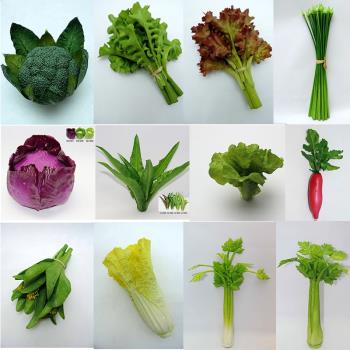 模擬蔥PU假大蔥模型蔬菜食品攝影櫥櫃擺件道具兒童早教大蒜蔥玩具