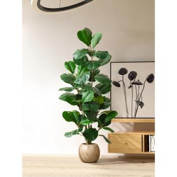 模擬綠植假植物琴葉榕高階輕奢客廳裝飾大型仿生盆栽室內盆景擺件