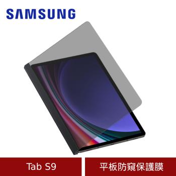 Samsung 三星 Tab S9 平板防窺保護膜