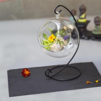 創意意境菜透明雙層玻璃餐具酒店會所分子料理美食器皿特色個性碗