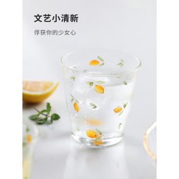 藍蓮花禮盒高硼矽耐高溫情侶玻璃杯ins風水杯檸檬家用設計感杯子