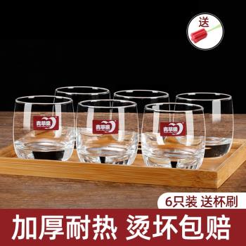 青蘋果玻璃杯套裝家用客廳耐熱泡茶杯簡約啤酒杯喝水杯子無蓋6只