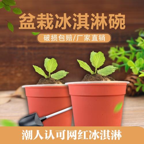 新冒煙綿綿冰碗冰淇淋杯一次性刨冰梅花碗沙拉炒酸奶杯雪花冰pet