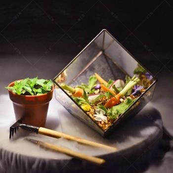 意境菜餐具干冰冒煙分子料理創意菜盤子個性特色火鍋鴨腸創意餐具