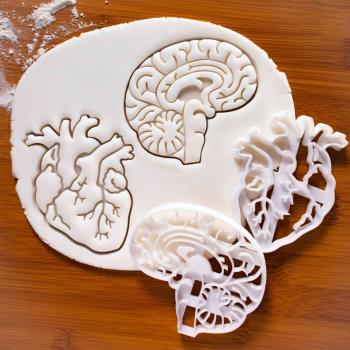 人體器官餅干模 大腦心臟肝臟腸道3D立體DIY切模烘焙創意翻糖模具