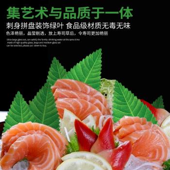 日本料理壽司綠葉冷盤塑料仿真青團裝飾葉子日式刺身海鮮搭配樹葉