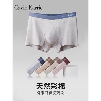 Cavid Karrie透氣無痕男士內褲