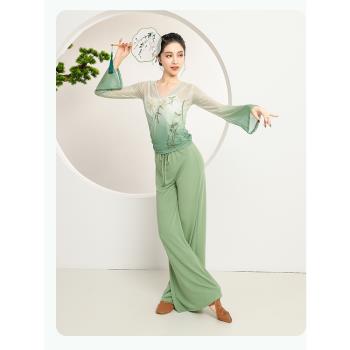 傾城舞后古典舞服裝中國舞蹈練功服漸變身韻紗衣竹葉印花長袖上衣