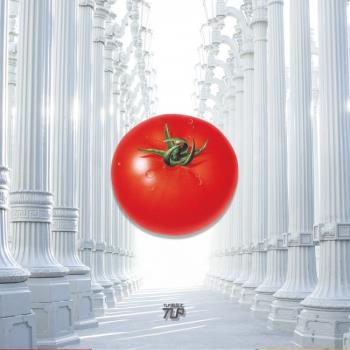 TLP反光貼 心情切片系列 番茄西紅柿可愛水果立體感 平面平板貼紙