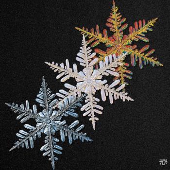 TLP鏤空雪花六角形結晶自然貼紙