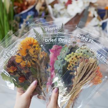 陌境 周末花店系列PET大尺寸貼紙小清新植物花朵手賬裝飾手機貼畫