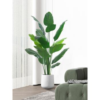 模擬綠植假植物天堂鳥仿真花擺件室內盆栽大型仿生綠植客廳裝飾樹