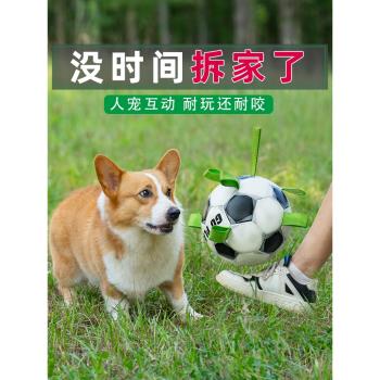 狗狗玩具寵物柯基邊牧訓狗足球互動解悶神器中型犬大型犬耐咬狗球