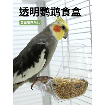 鳥用防濺防撒食盒透明喂食器喂鳥器食槽玄鳳虎皮牡丹鳥籠用品配件