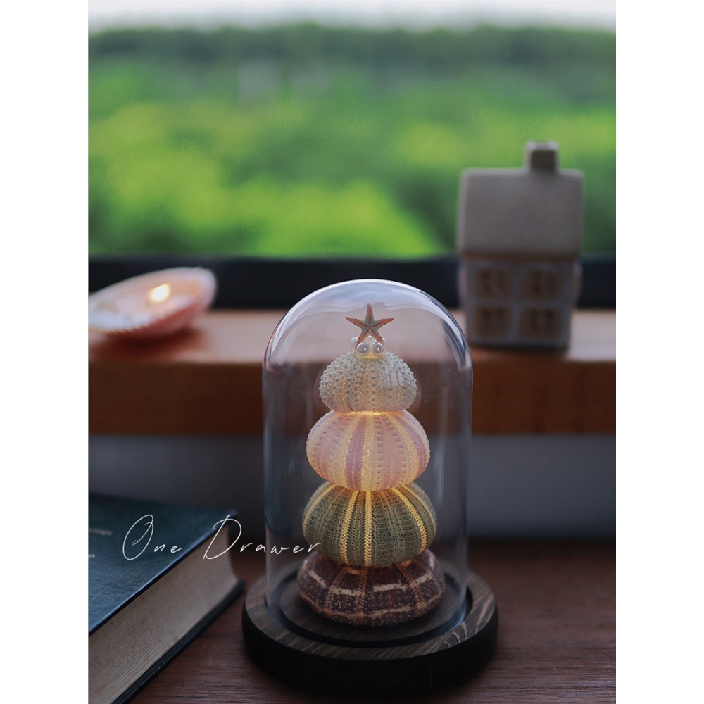 一個抽屜貝殼海膽燈小夜燈擺件手工diy材料包生日禮物|小夜燈|ETMall