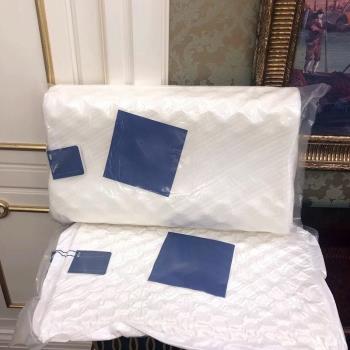 記憶棉乳膠枕頭一對家用天然宿舍學生護頸椎枕芯酒店專用助睡眠枕