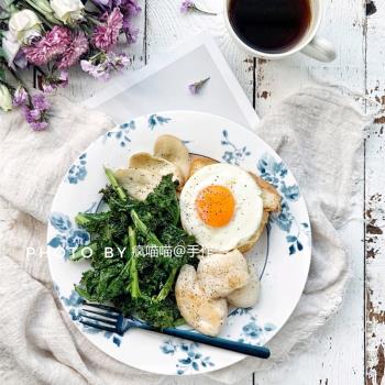 韓國ins復古vintage紅棕色深藍玫瑰陶瓷西餐盤網紅甜品盤早餐盤