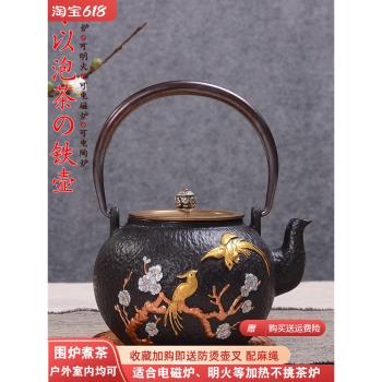 日本鐵壺南部金鳳凰鑄鐵壺無塗層生鐵壺老鐵壺茶壺套組家用燒水壺