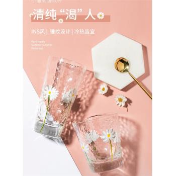 日式雛菊錘紋杯水杯耐熱玻璃杯家用水具套裝可愛少女果汁杯冷水壺
