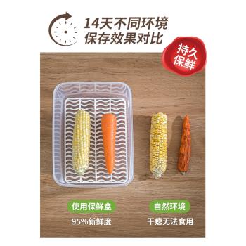 日本冰箱銀離子抗菌瀝水保鮮盒食品級冷凍冷藏冰柜收納盒整理神器