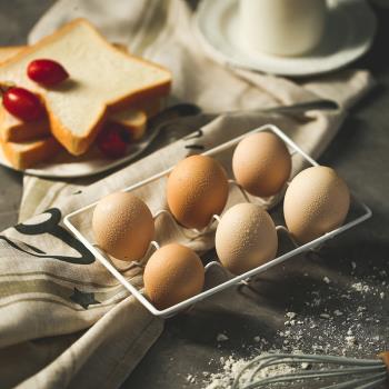 復古金屬鐵藝北歐簡約廚房冰箱餐廳創意雞蛋架收納架美食拍攝道具