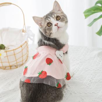 貓咪衣服狗狗公主裙夏天薄款甜美小型犬比熊貓貓連衣裙寵物仙女裙