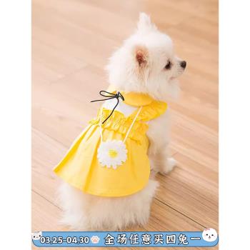 小狗狗衣服春秋薄款夏季公主裙可愛小型犬貓咪背心寵物花朵連衣裙