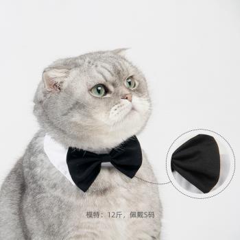 領結領帶小型犬貓咪配飾紳士寵物