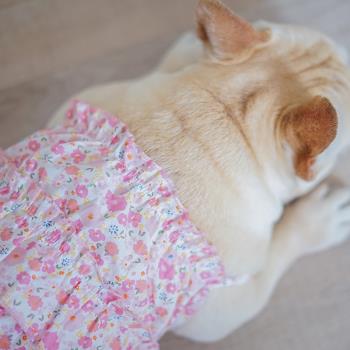 ibeans寵物服飾狗狗夏季透氣可愛衣服裙子法斗泰迪外出三層蛋糕裙