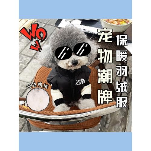 狗狗衣服過年2022新款秋冬款羽絨服背心泰迪寵物冬季柯基法斗冬裝
