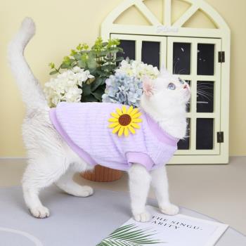 貓咪衣服秋冬裝新款加絨可愛絨衣藍貓英短小貓寵物冬季保暖衛衣