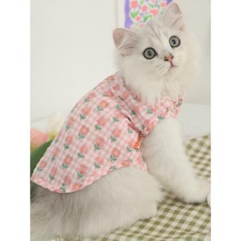 夏季薄款防掉毛夏天小貓藍貓寵物貓貓可愛幼貓的夏天背心貓咪衣服