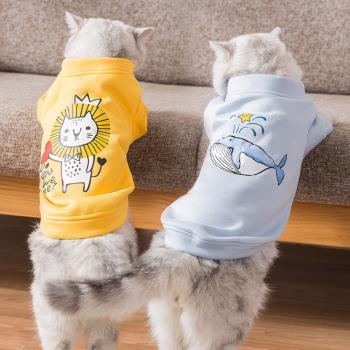 寵物貓咪衣服冬季銀漸層布偶貓加菲貓藍貓美短金吉拉金漸層波斯貓