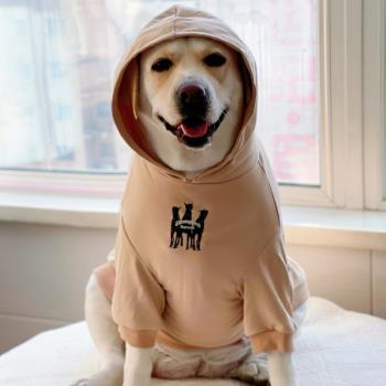 狗狗衣服大型犬潮牌春秋薄款衣服拉布拉多防掉毛網紅衣服金毛衣服