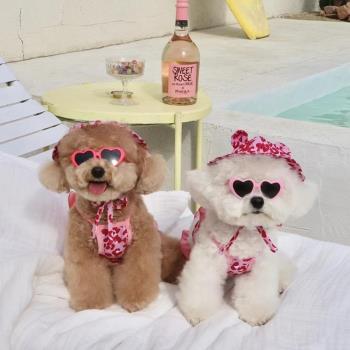 小型犬比基尼寵物泰迪比熊博美帽子泳衣吊帶背心裙子貓狗夏薄衣服
