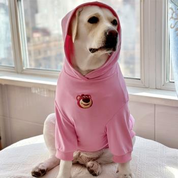 狗狗衣服大型犬春秋衣服草莓熊潮牌薄款衣服拉布拉多金毛網紅衣服