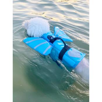 狗狗游泳衣泰迪比熊柯基金毛寵物救生衣大中小型犬玩水專用狗衣服